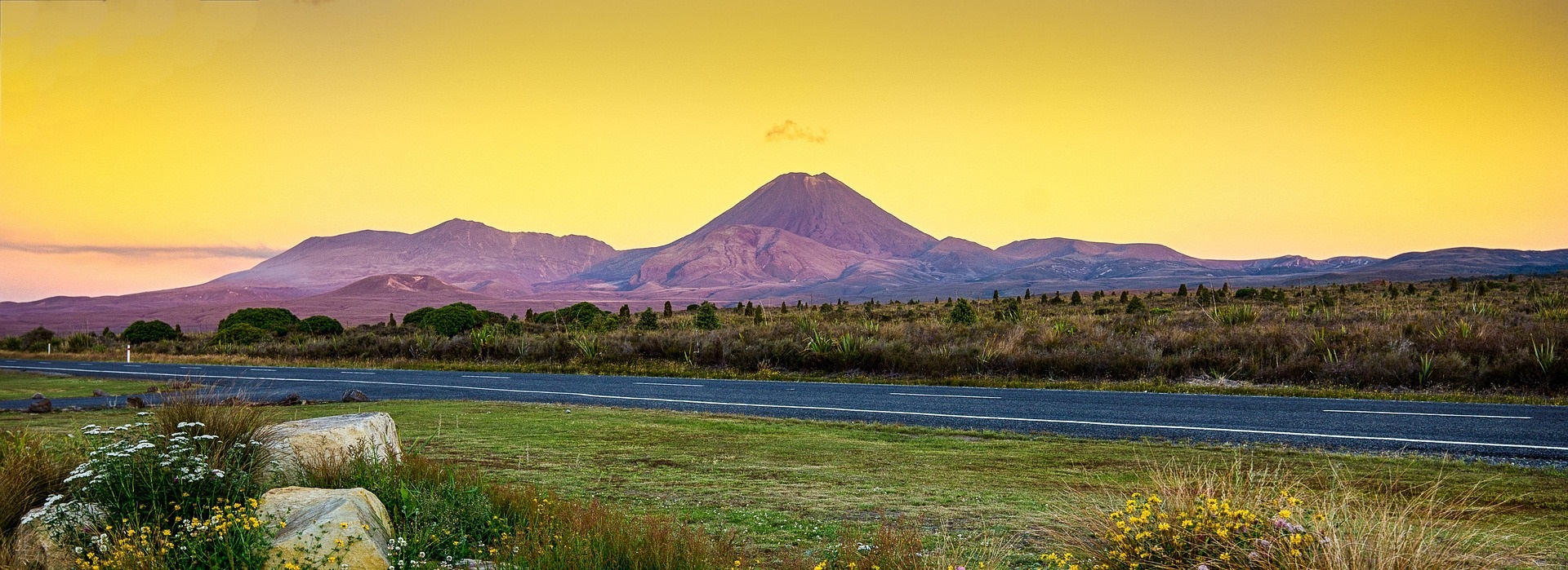 New Zealand
