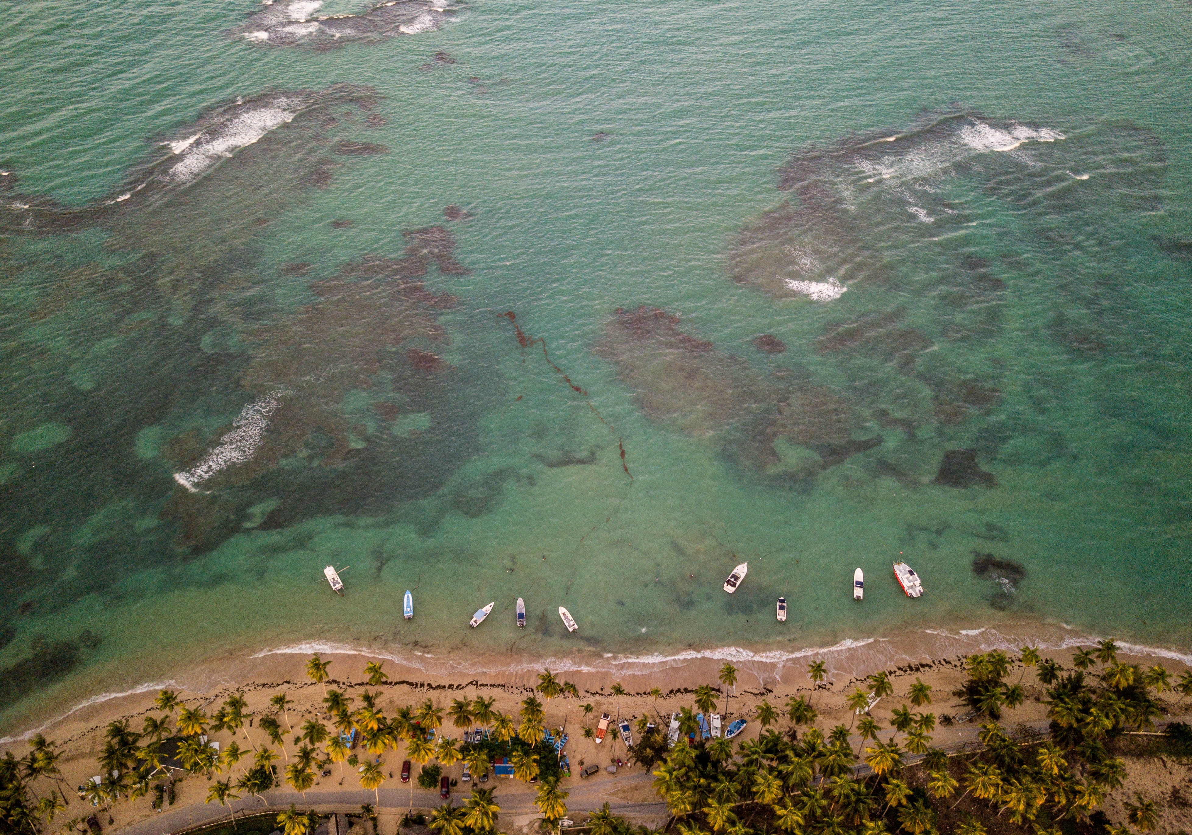 Praia do Forte