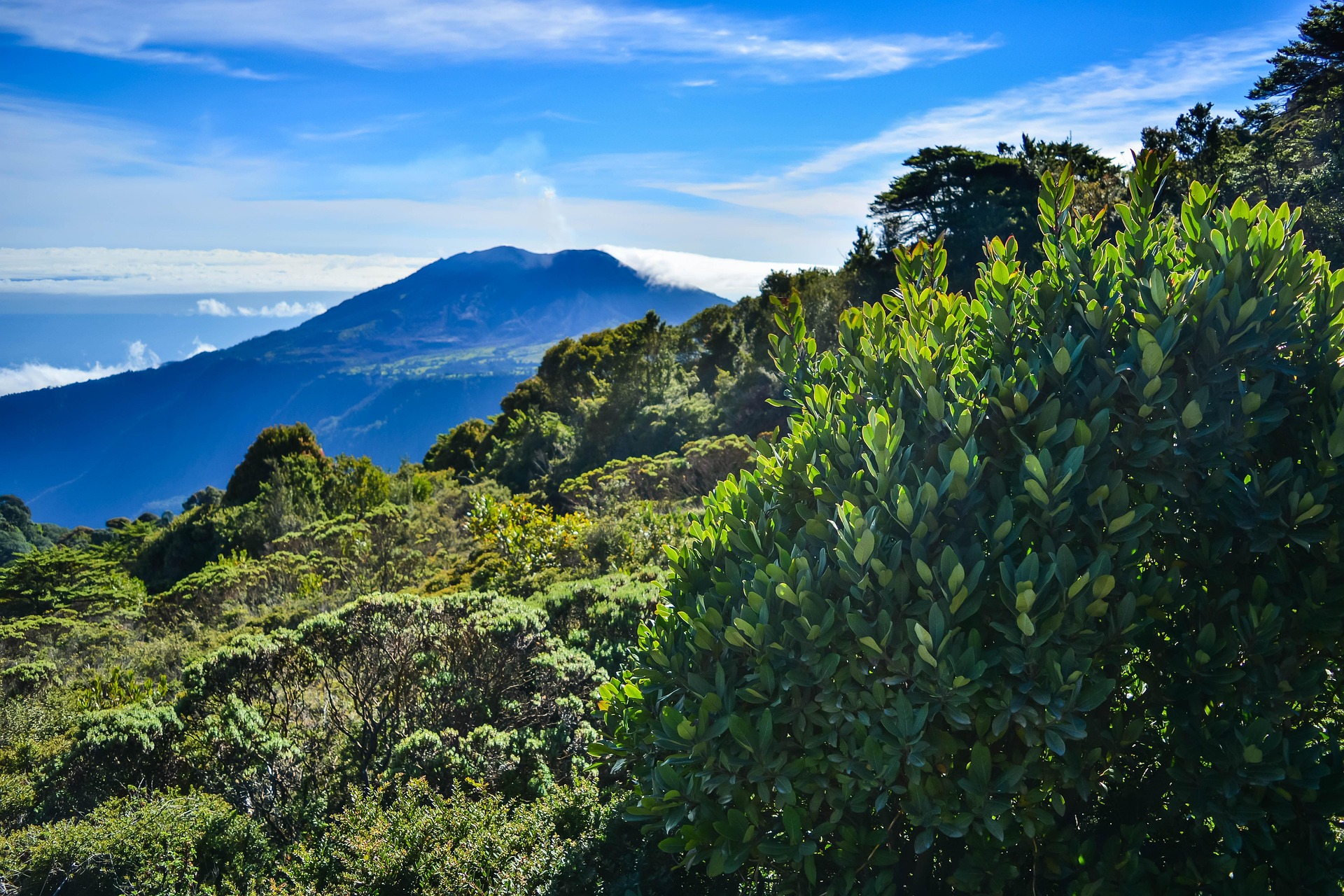 Guapiles