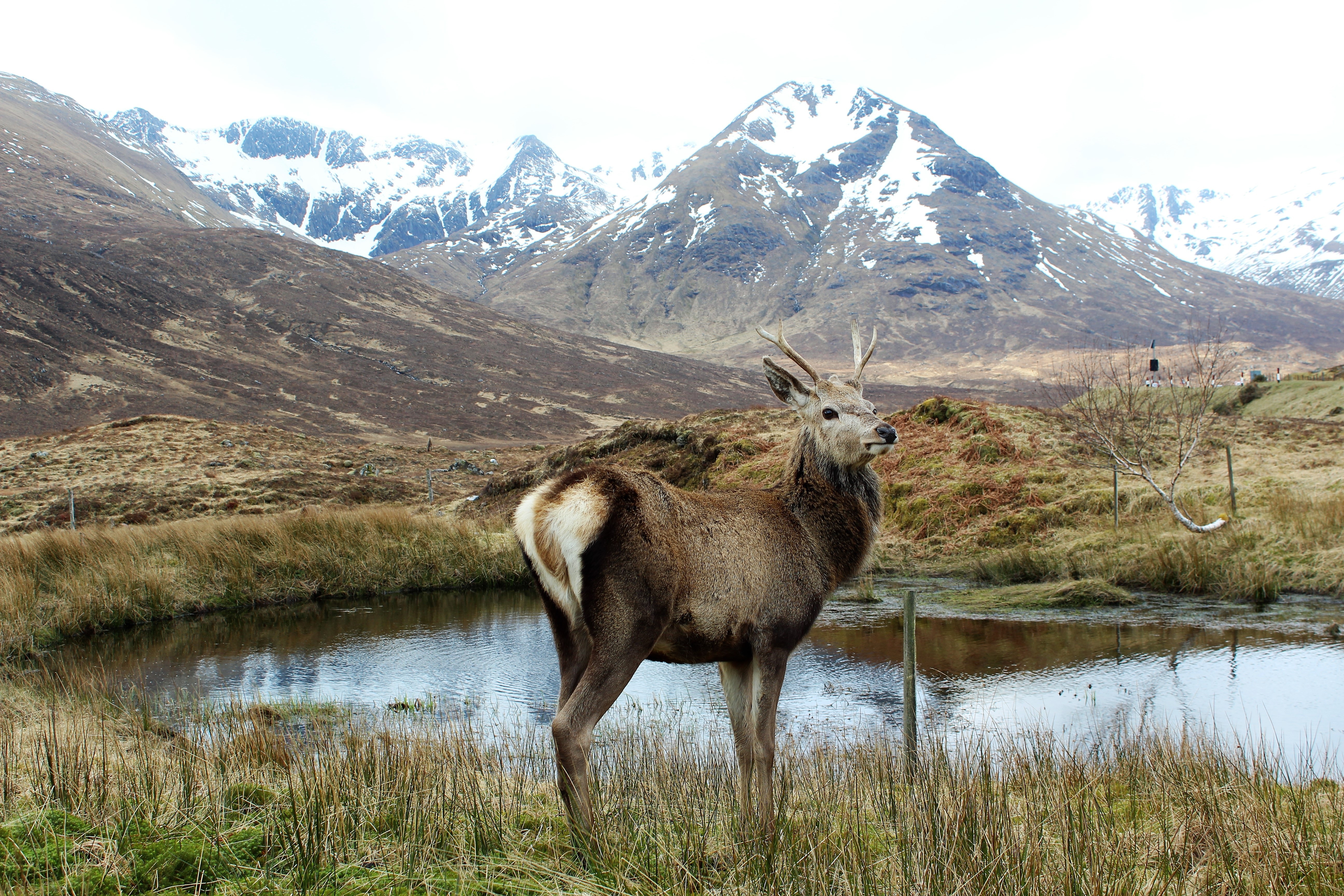 Isle of Skye
