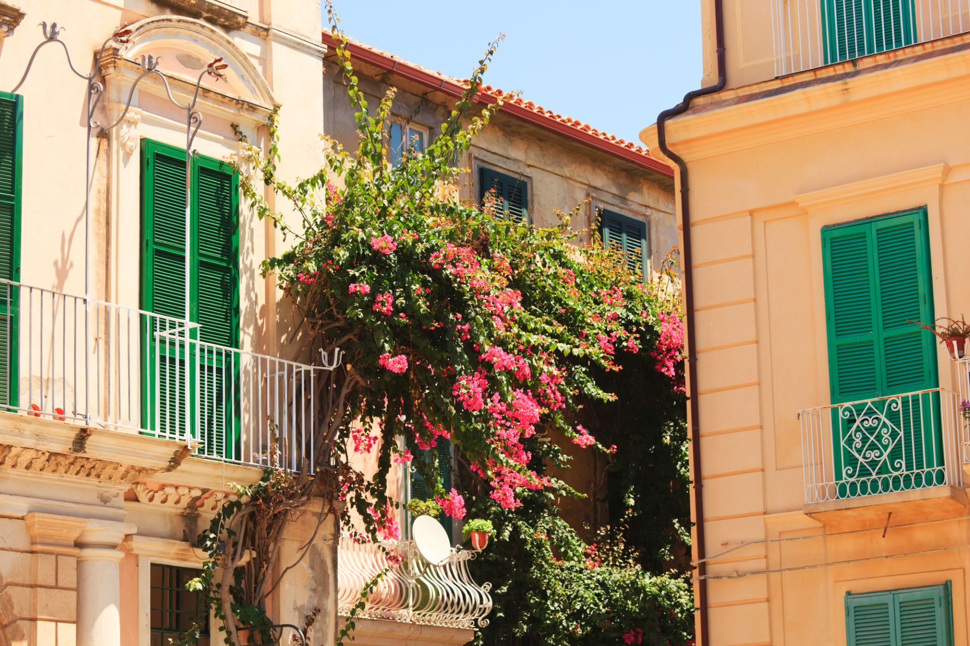 Tropea