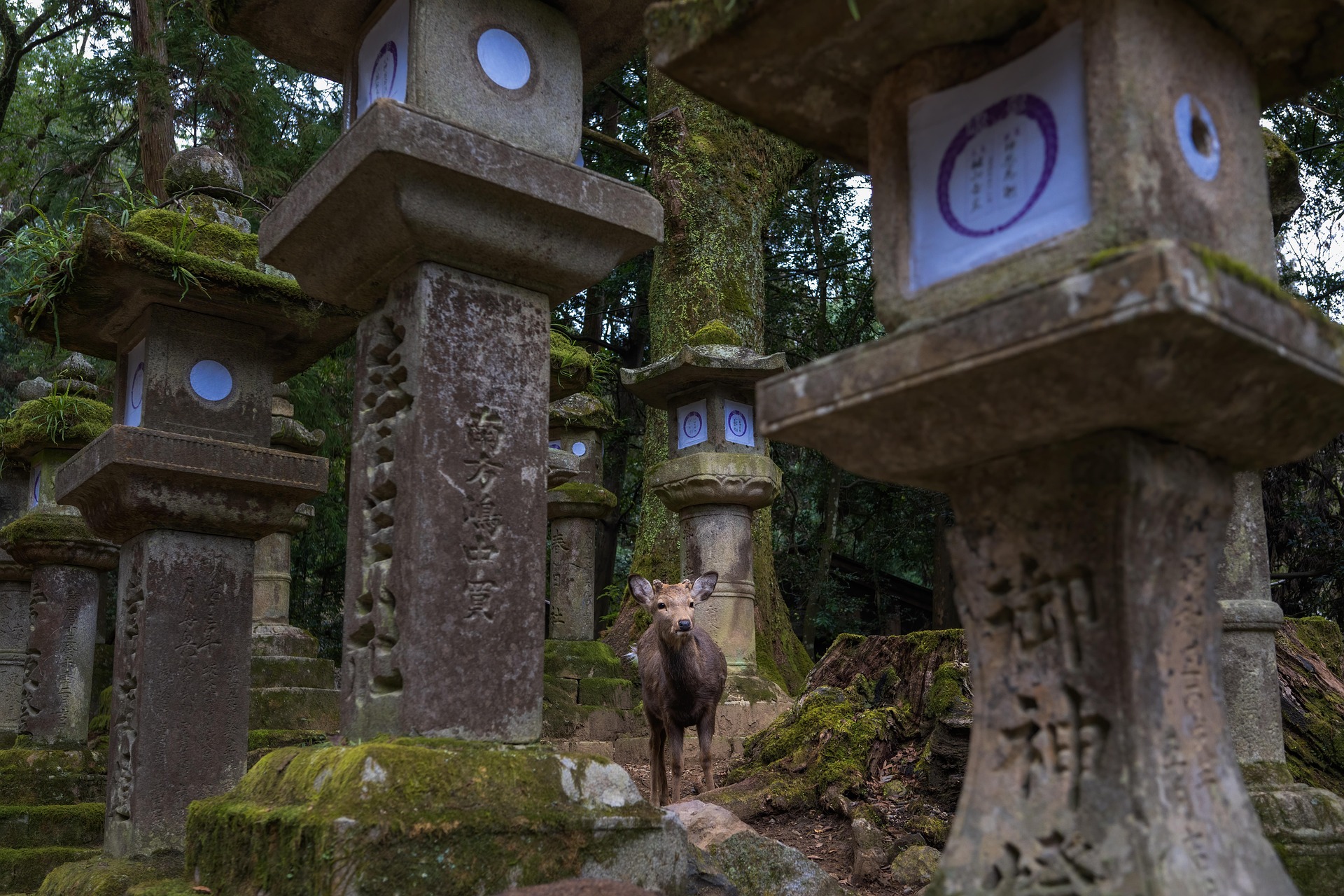 Nara